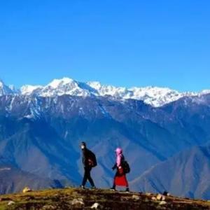 互聯網基石 域名根服務器的運作與影響